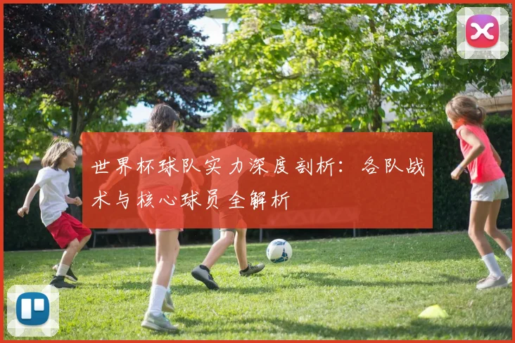世界杯球队实力深度剖析:各队战术与核心球员全解析