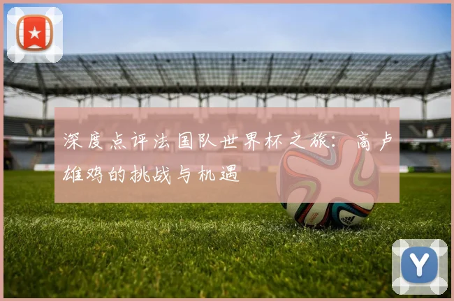 深度点评法国队世界杯之旅：高卢雄鸡的挑战与机遇