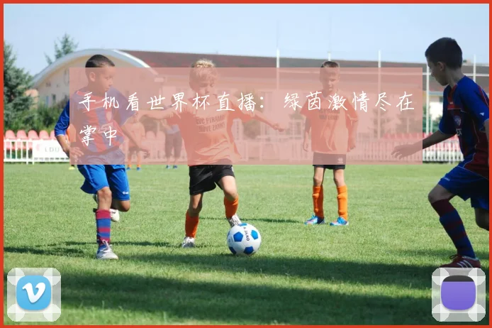 手机看世界杯直播：绿茵激情尽在掌中