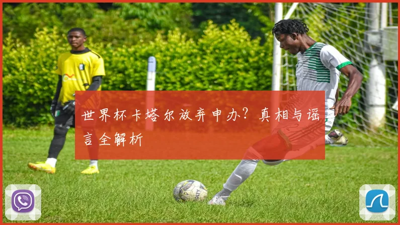 世界杯卡塔尔放弃申办？真相与谣言全解析