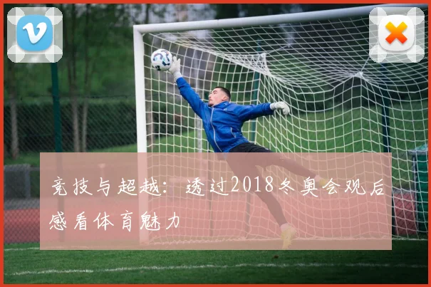 竞技与超越：透过2018冬奥会观后感看体育魅力