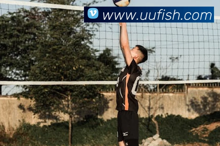 开云官方登陆入口平台生态图