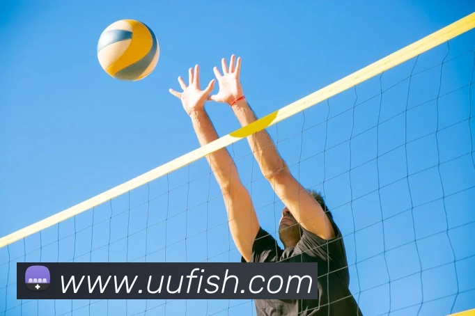 开云官方登陆入口全站App